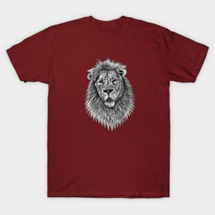 Asiatic lion - big cat - ink illustration T-Shirt